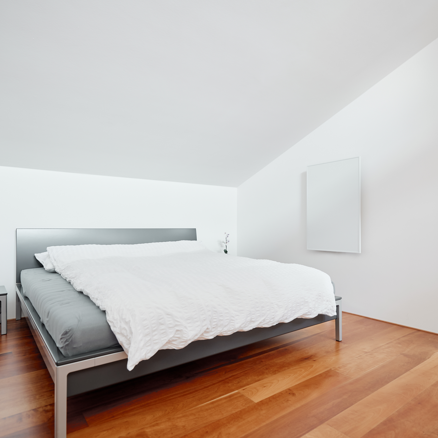 hahaTEST 1234 - Ultra-flache ecoheat Infrarotheizung mit 800 W, Wandmontage, 60 x 120 cm, in Aluminium-Design, für platzsparende Erwärmung.