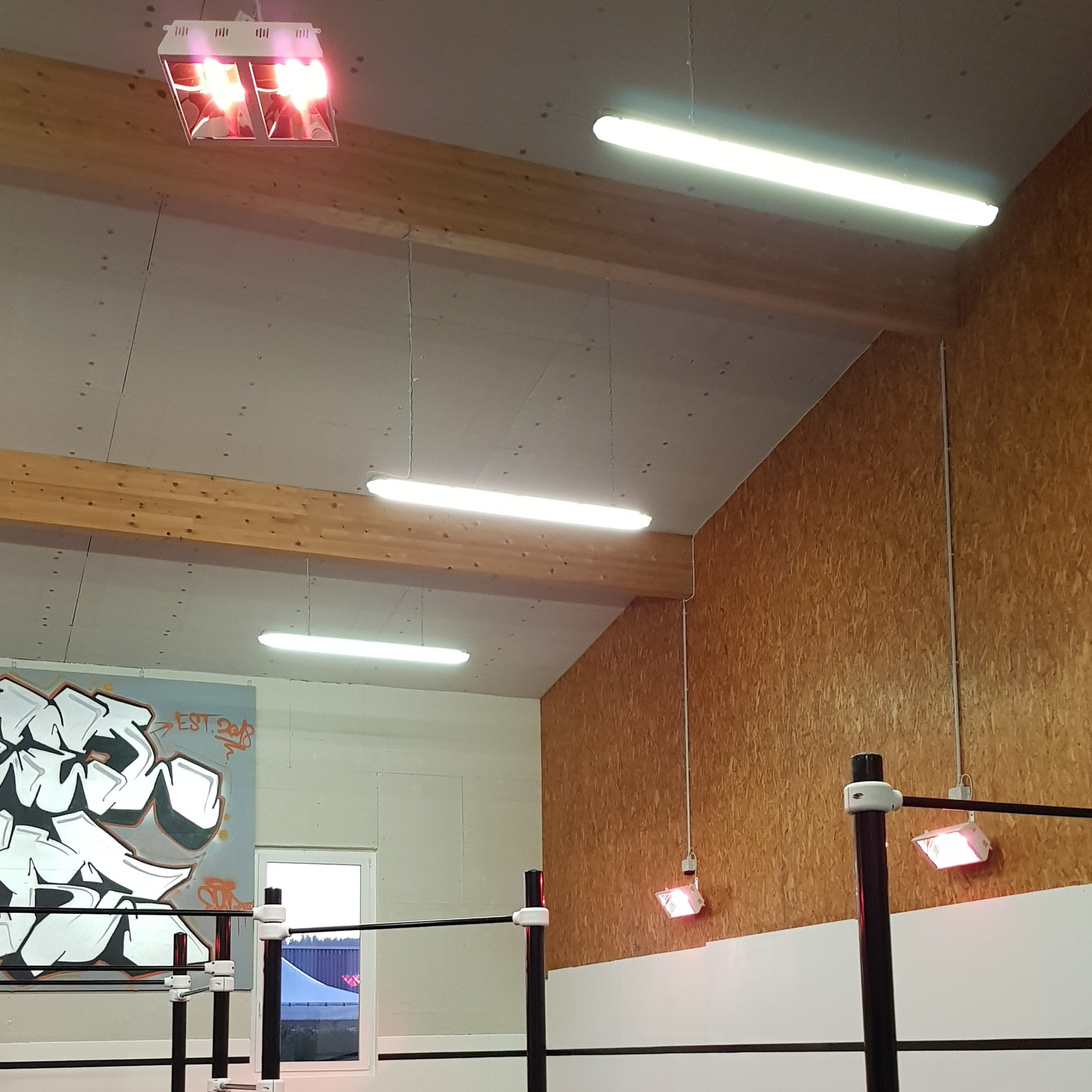 Helios Titan Industrie-Heizstrahler, 4000W, Infrarotstrahler für Gewerbe, Wandmontage, strahlwassergeschützt.